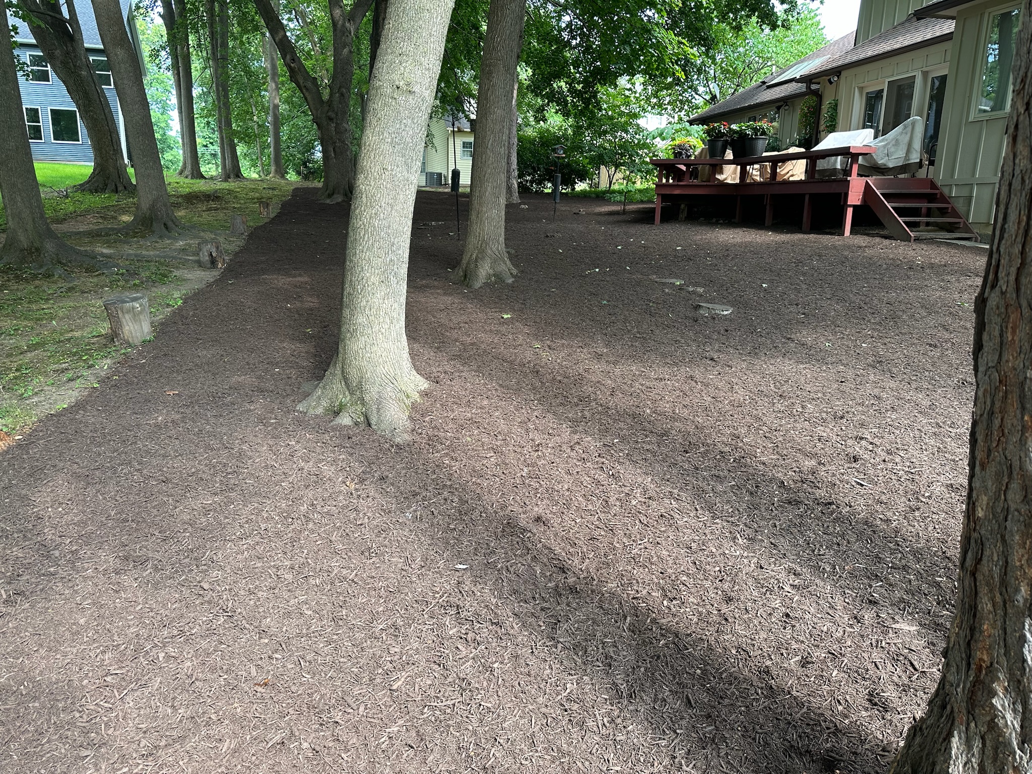 2023 mulch refresh after photo 2